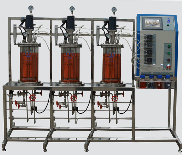 LG--DJE系列 多聯(lián)平行機械攪拌玻璃發(fā)酵罐 